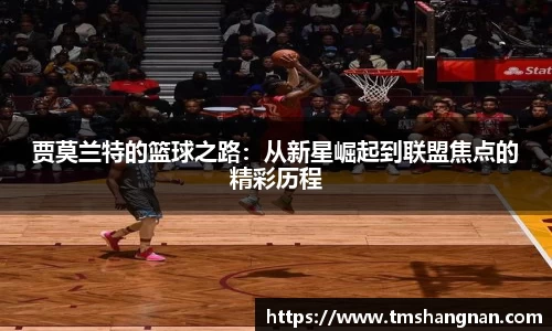 星空·综合体育官方网站