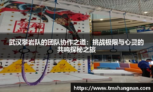 星空·综合体育官方网站